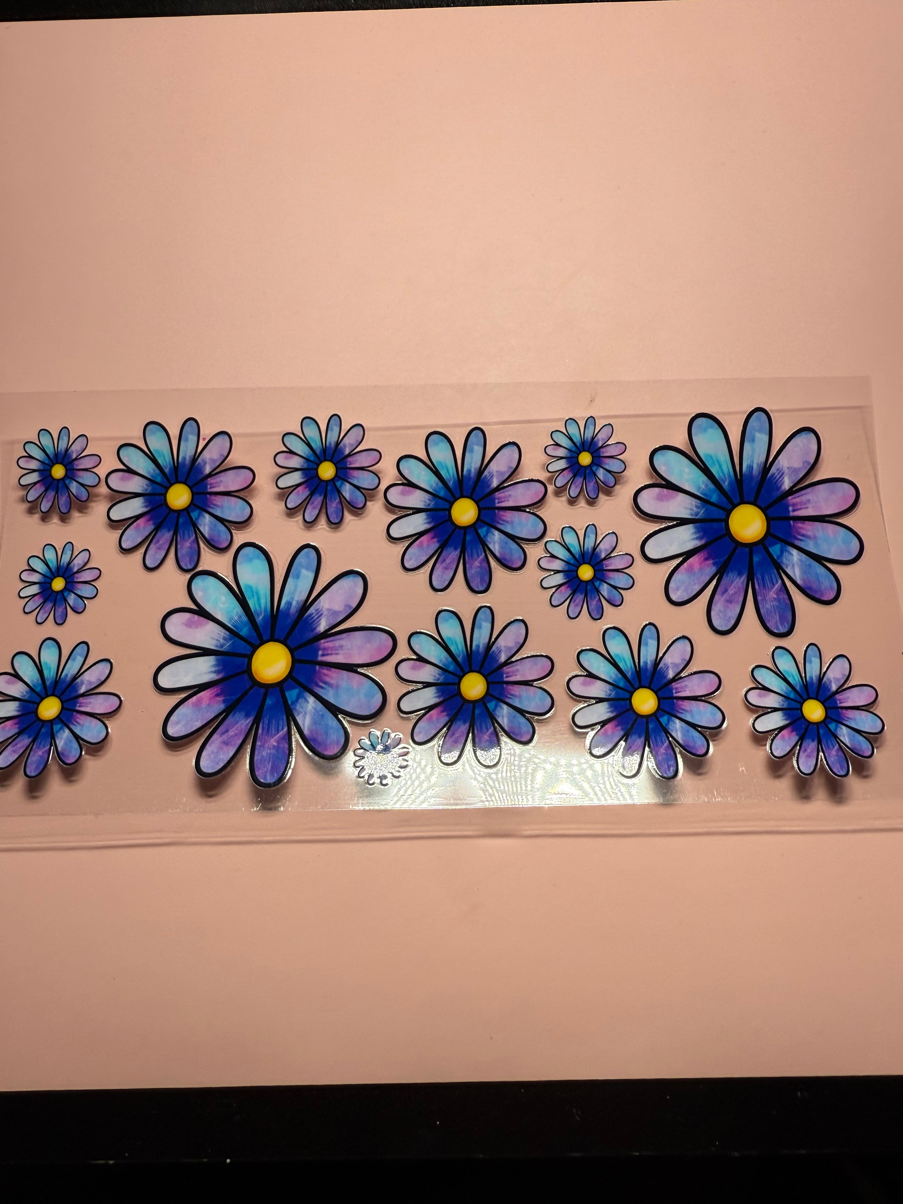 Colorful Daisies