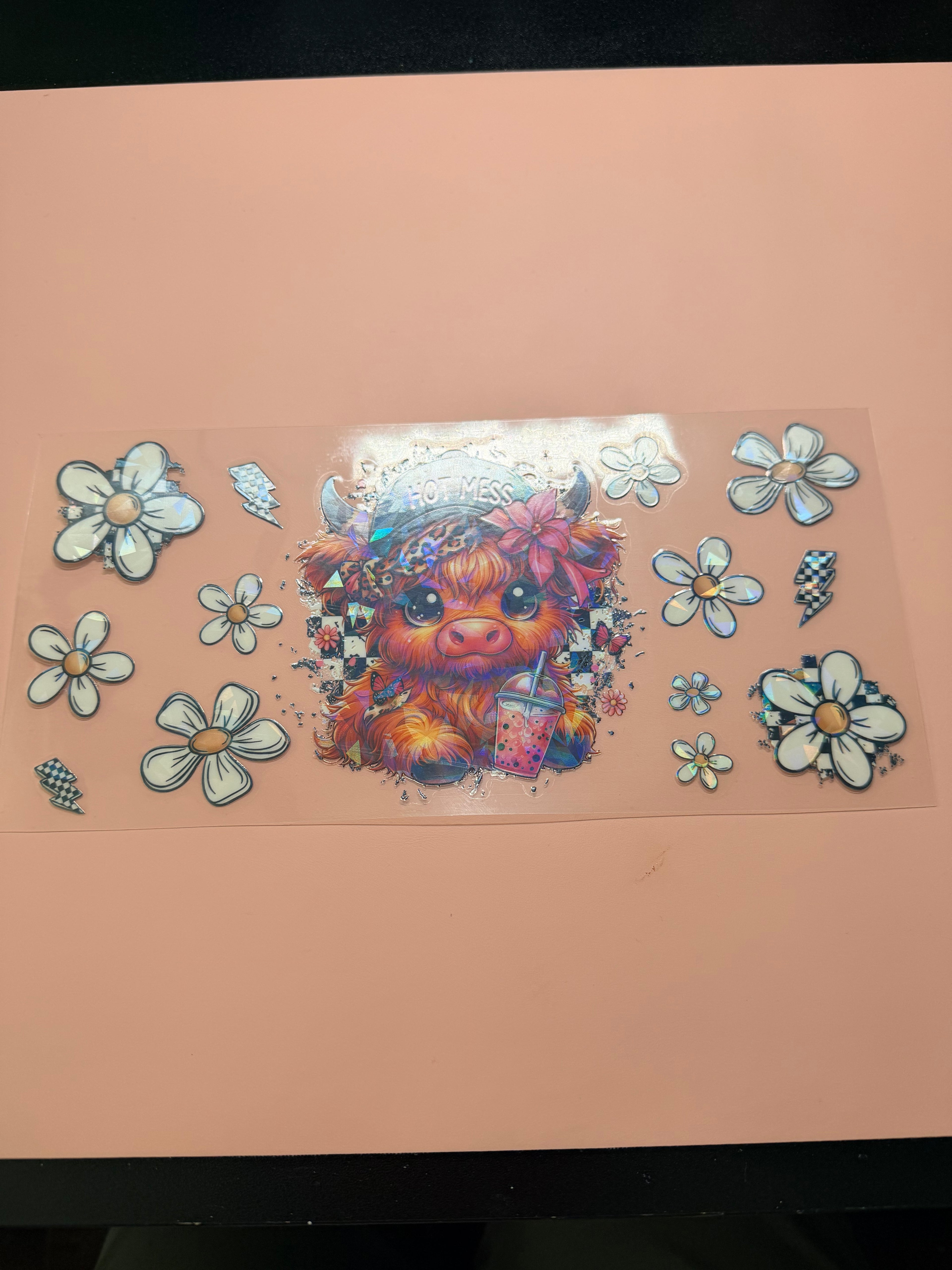 Highland & Daisies