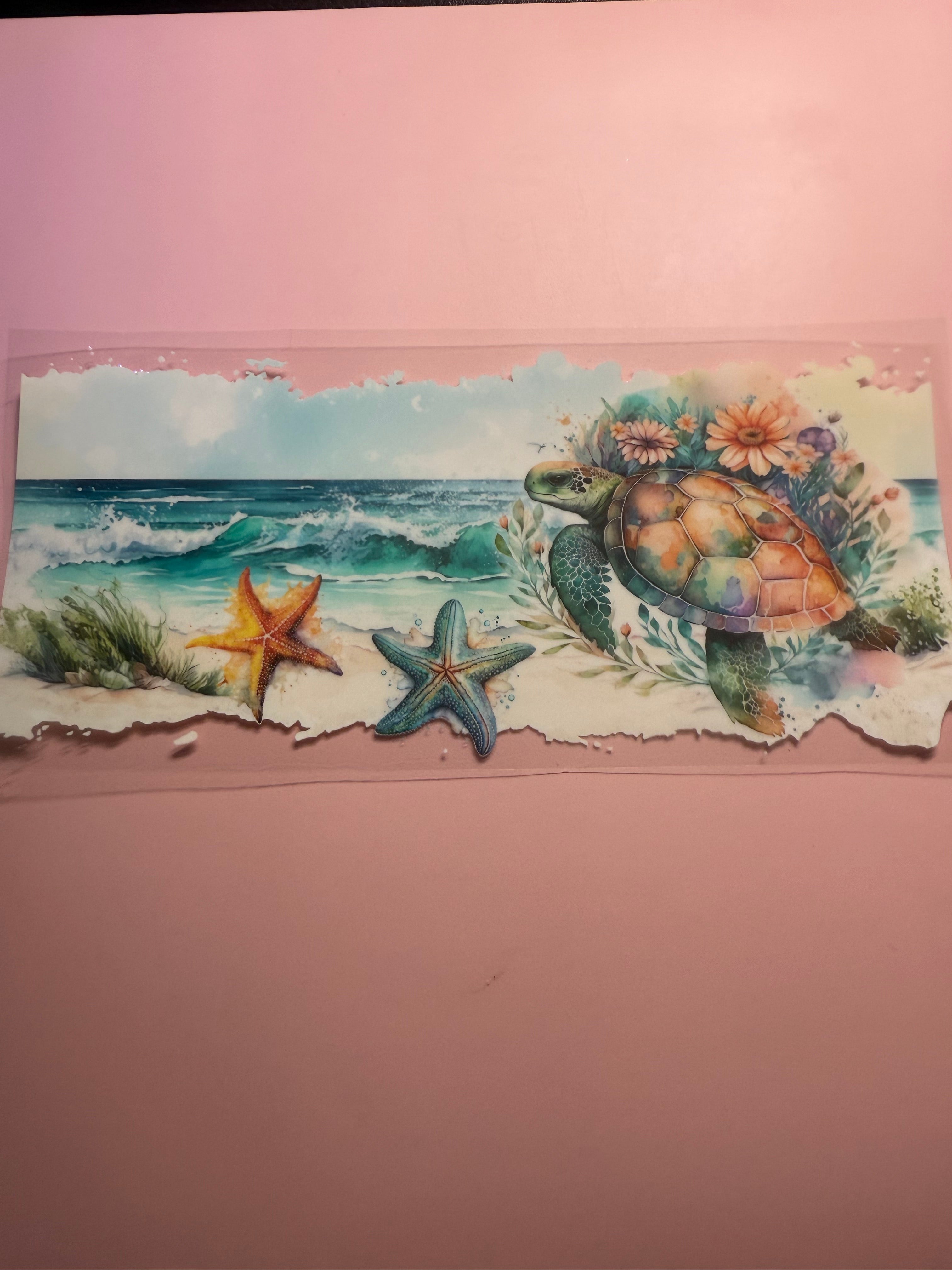 Turtle & Star Fish